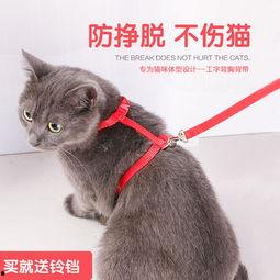 欧美猫咪用品图片大全,时尚与实用的完美融合